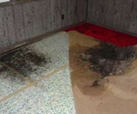 Carpet Cleaning Tapping