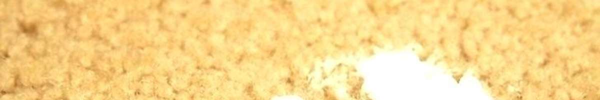 Professional Carpet Cleaning City Beach Banner