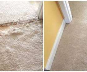 Professional Carpet Cleaning City Beach