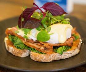Jabiru Cafe & Bar Nundah