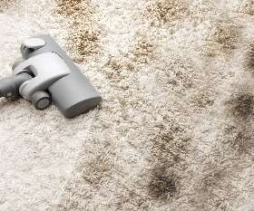 Carpet Cleaning Adelaide