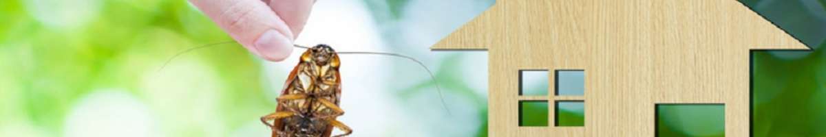 Pest Control Grange Banner