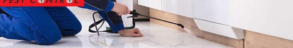 Pest Control Nudgee Banner