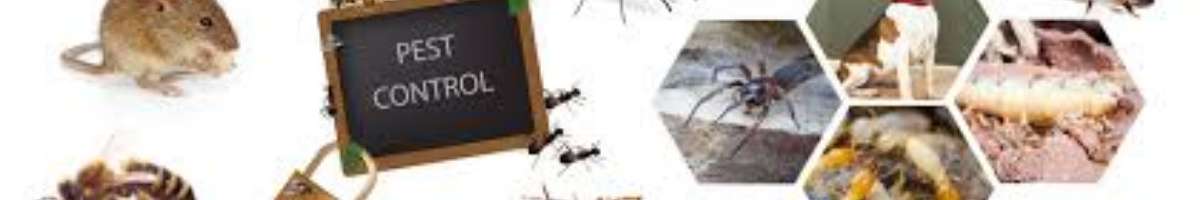 Pest Control Shailer Park Banner