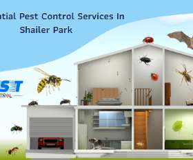 Pest Control Shailer Park