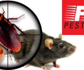Pest Control Windsor