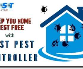 Pest Control Mermaid Waters