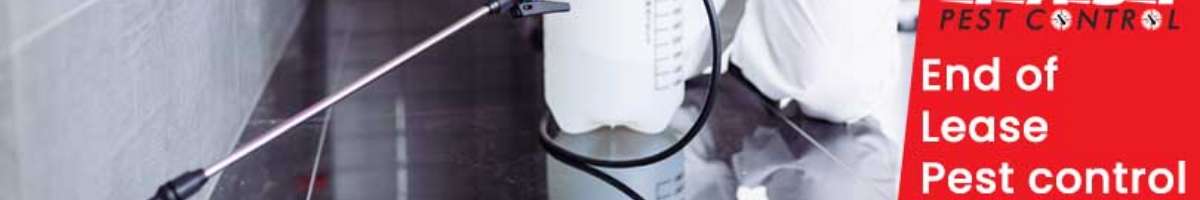 Pest Control Banksia Beach Banner