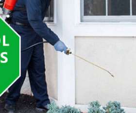 Pest Control Banksia Beach