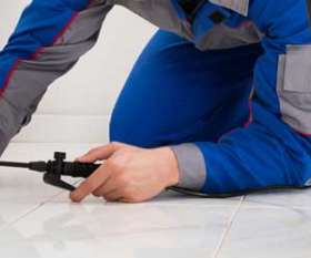 Pest Control Highfields