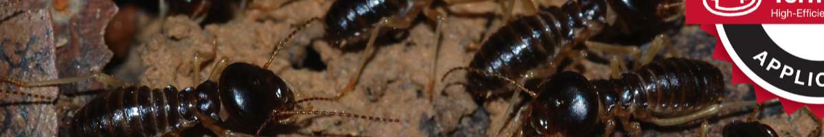 Positive Pest Solutions Banner