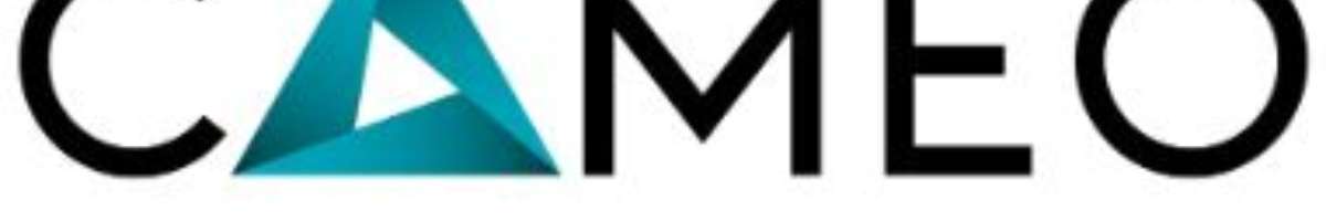 Cameo Business Consulting Banner