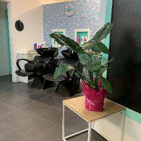 The Curly Mermaid Salon