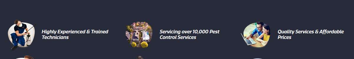 BugFree Pest Control Sydney Banner