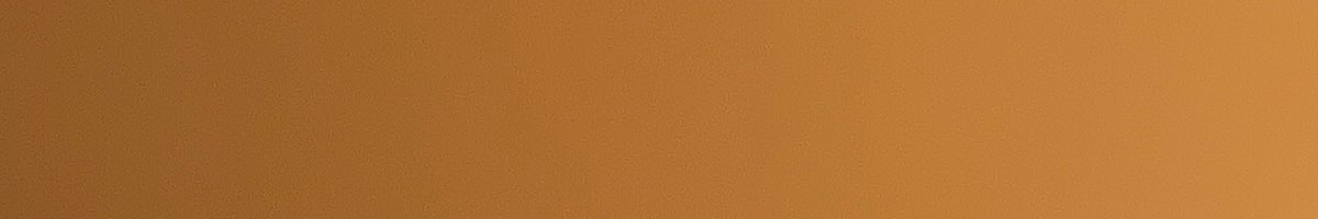 WALL 2 WALL PAINTING & MAINTENANCE Banner