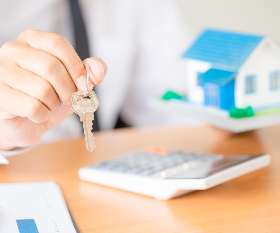 Money Tree Financial Solutions