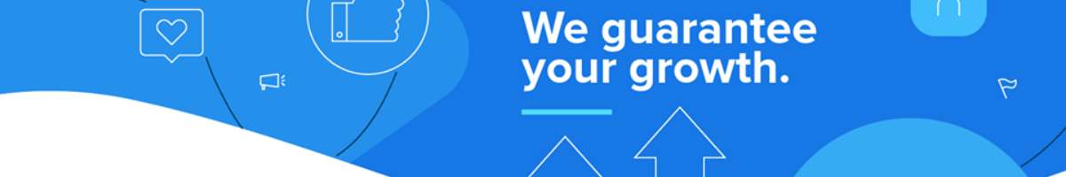 Social Fox Banner