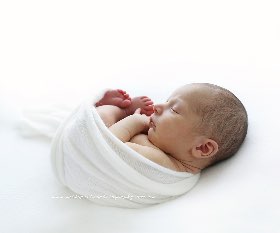 Niki Sprekos Photography