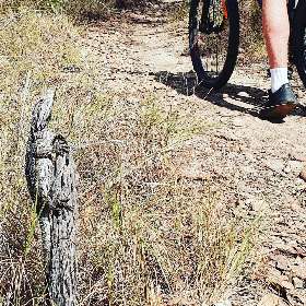 Sky Road Trail