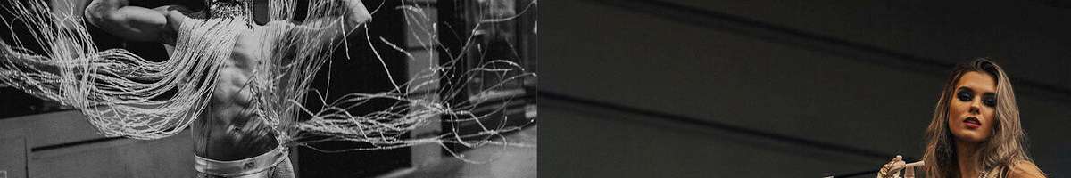 The Cat's Meow Banner