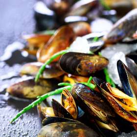 Costis Fresh Seafood