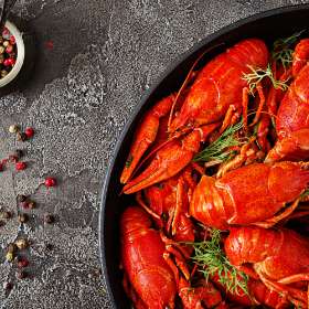 Costis Fresh Seafood