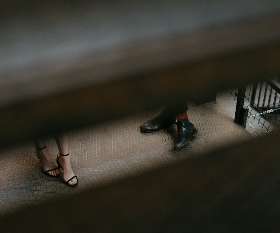 Territory Investigations