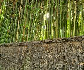 Brushwood Fencing Australia Pty Ltd