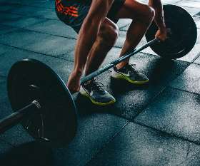 Cortex Training Academy