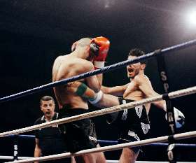 Cortex Training Academy