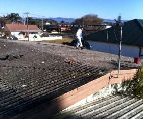 Stolk Building & Asbestos Removal