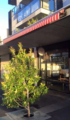 Indoor Outdoor Imports