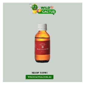Wild Cactus