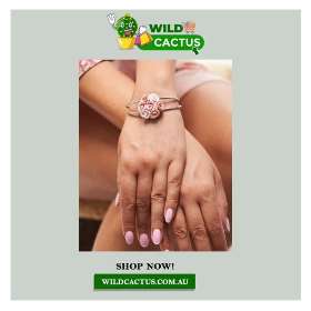 Wild Cactus