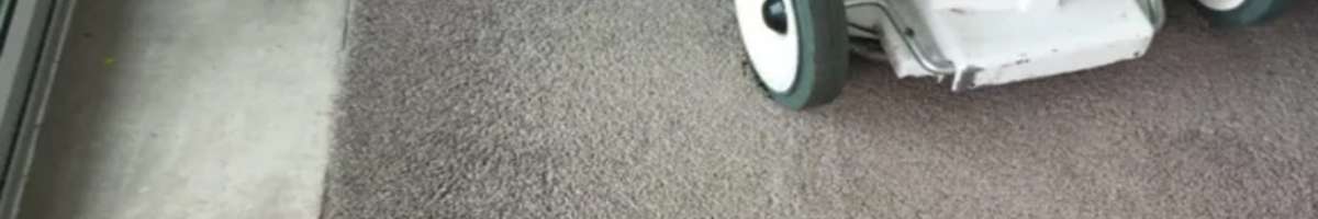 Carpet Cleaning Upper Coomera Banner