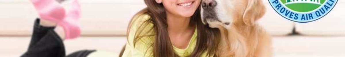 Chem-Dry Clean and Green Banner