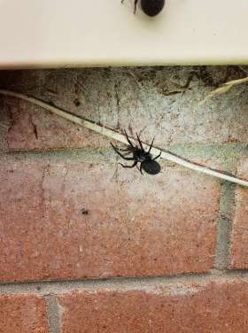 Adaptable Pest Control