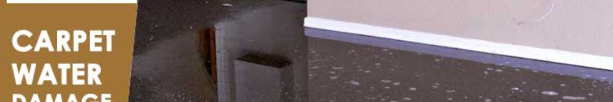 Carpet Cleaning Dunlop Banner