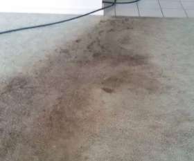 Carpet Cleaning Mawson Lakes