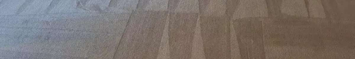 Carpet Cleaning Highgate Banner