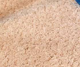 Carpet Cleaning Northgate