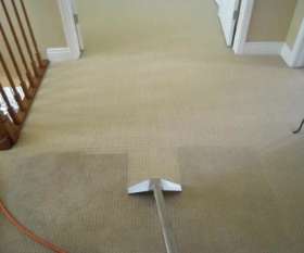 Carpet Cleaning Findon