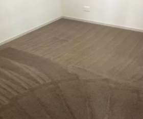 Carpet Cleaning Findon