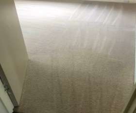 Carpet Cleaning Findon