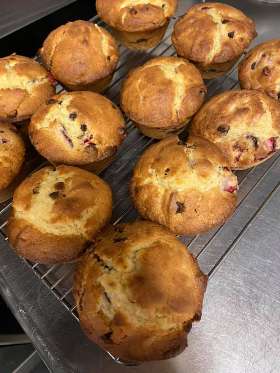 Wisdom In A Cup Cafe