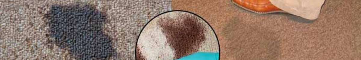 Carpet Cleaning Craigmore Banner