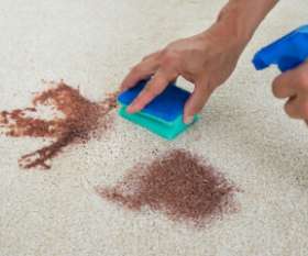 Carpet Cleaning Parmelia