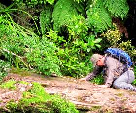 The Contract Company