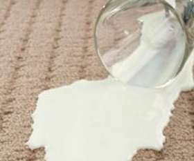 Carpet Cleaning Brisbane