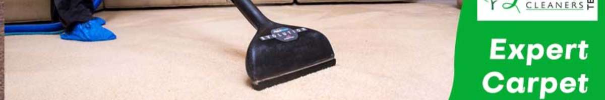 Carpet Cleaning Sydney Banner